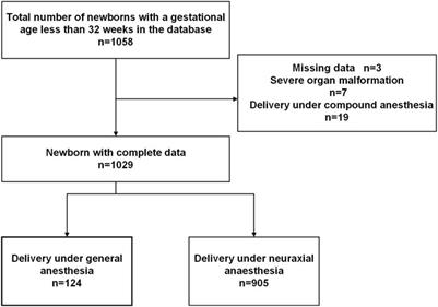 The impact of general anesthesia on the outcomes of preterm infants with gestational age less than 32 weeks delivered via cesarean section
